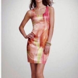 Ann Taylor Watercolor Sleeveless Shift Dress, Size 10 Petite